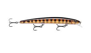 Rapala MaxRap 17 Minnow 17cn 28g Cabrilla Live